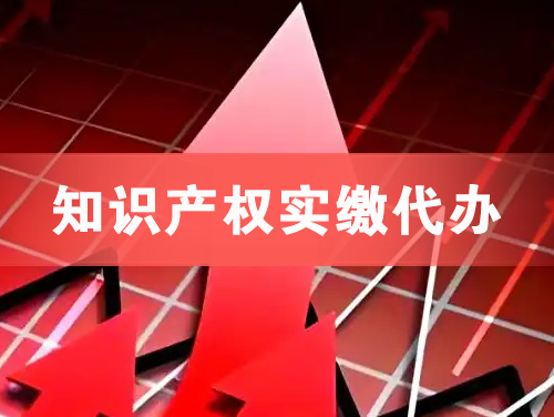 新密知识产权实缴资本代办